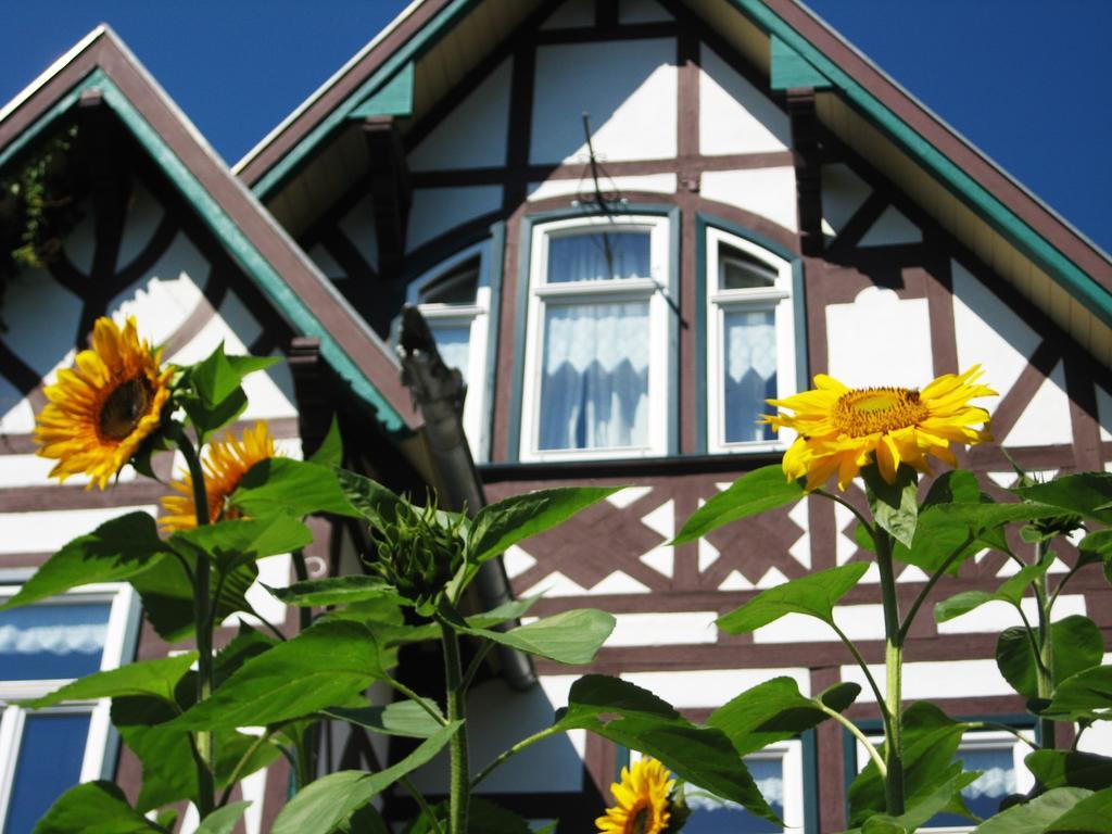 Hotel Villa Rossek Bad Liebenstein Eksteriør billede